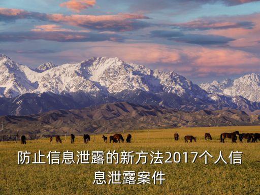 防止信息泄露的新方法2017個人信息泄露案件