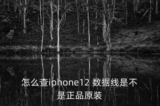 怎么查iphone12 數(shù)據(jù)線是不是正品原裝
