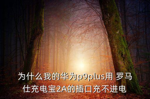 羅馬仕的數(shù)據(jù)線不兼容,數(shù)據(jù)線和手機不兼容怎么辦