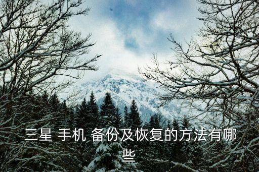 三星sch-i879手機(jī)如何備份數(shù)據(jù)