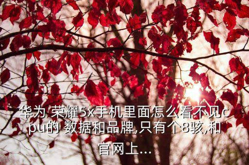 華為 榮耀5x手機里面怎么看不見cpu的 數(shù)據(jù)和品牌,只有個8駭,和官網上...