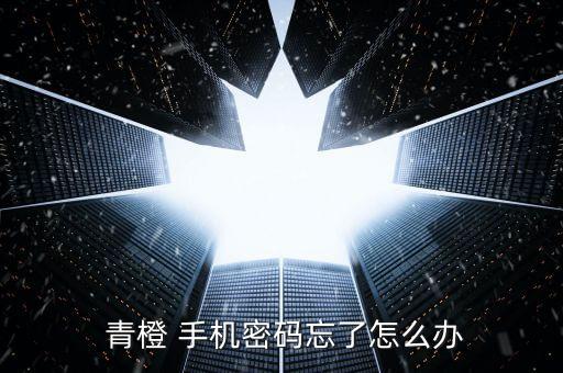  青橙 手機(jī)密碼忘了怎么辦