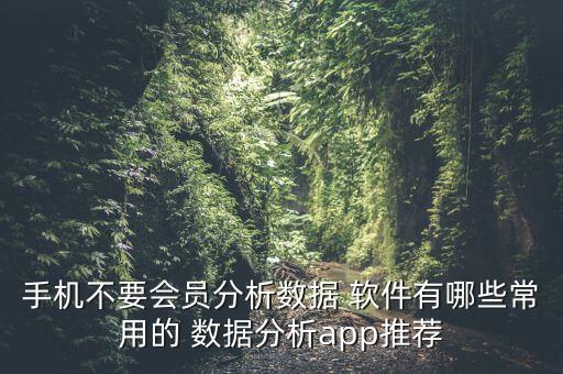 手機不要會員分析數(shù)據(jù) 軟件有哪些常用的 數(shù)據(jù)分析app推薦