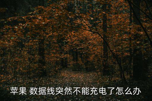 蘋果 數(shù)據(jù)線突然不能充電了怎么辦