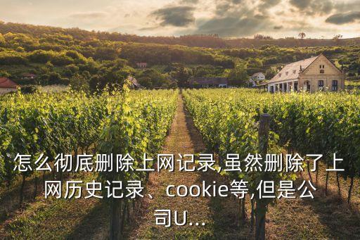 涉密數(shù)據(jù)痕跡擦除