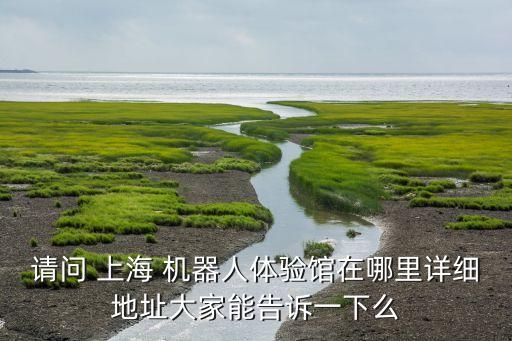 上海那邊機器人多嗎,換那邊阿爾法機器人
