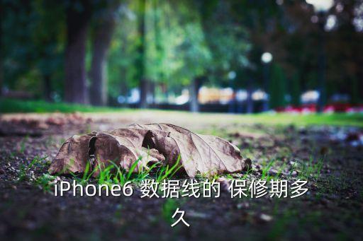 iPhone6 數(shù)據(jù)線的 保修期多久