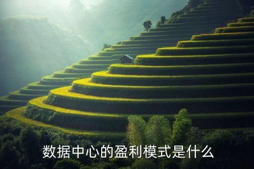  數(shù)據(jù)中心的盈利模式是什么