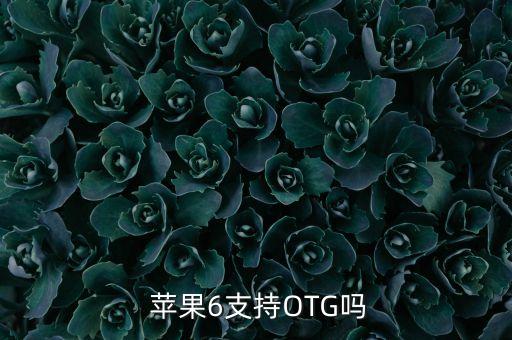  蘋果6支持OTG嗎