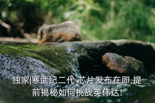 數(shù)據(jù)中心芯片amd