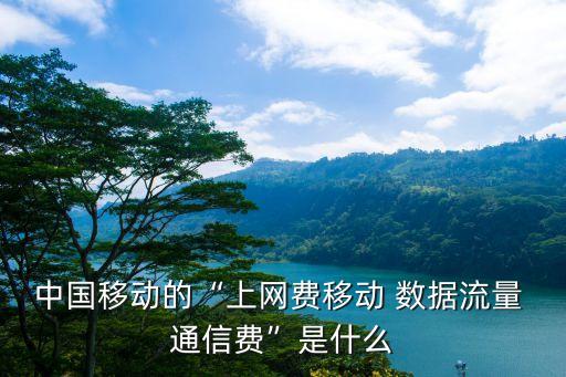 中國(guó)移動(dòng)的“上網(wǎng)費(fèi)移動(dòng) 數(shù)據(jù)流量 通信費(fèi)”是什么