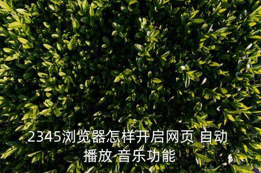 2345瀏覽器怎樣開啟網(wǎng)頁 自動 播放 音樂功能