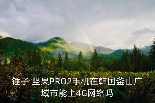 錘子 堅(jiān)果PRO2手機(jī)在韓國釜山廣域市能上4G網(wǎng)絡(luò)嗎