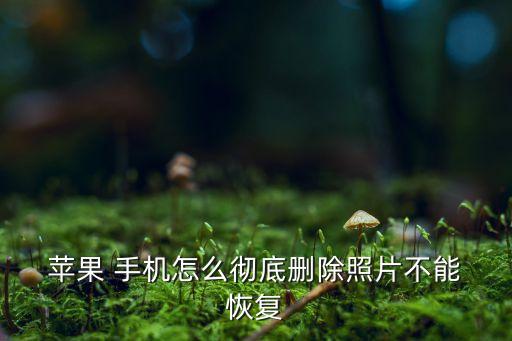  蘋果 手機(jī)怎么徹底刪除照片不能 恢復(fù)