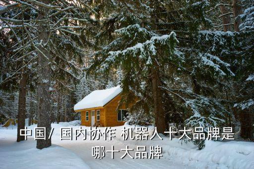 國(guó)內(nèi)機(jī)器人生產(chǎn)公司,機(jī)器人女友生產(chǎn)公司