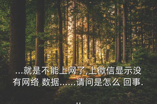 手機(jī)沒(méi)有數(shù)據(jù)怎么回事,手機(jī)移動(dòng)數(shù)據(jù)連不上網(wǎng)怎么回事