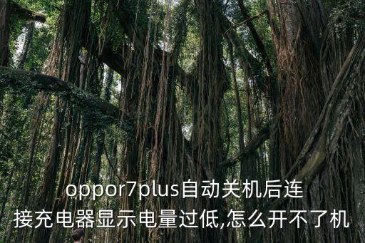 oppor7plus連數(shù)據(jù)線,OPPOr7plus安裝不了QQ
