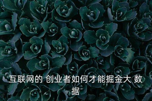互聯(lián)網(wǎng)的 創(chuàng)業(yè)者如何才能掘金大 數(shù)據(jù)