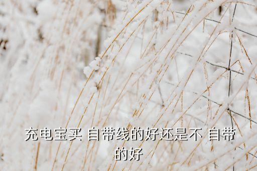  充電寶買 自帶線的好還是不 自帶的好