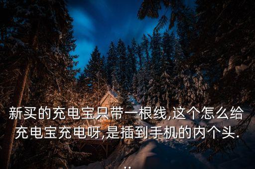 新買的充電寶只帶一根線,這個(gè)怎么給充電寶充電呀,是插到手機(jī)的內(nèi)個(gè)頭...