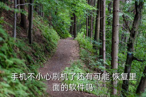 手機(jī)刷新數(shù)據(jù)恢復(fù),手機(jī)數(shù)據(jù)恢復(fù)精靈