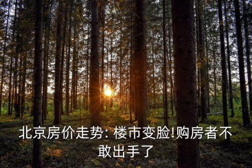 北京房?jī)r(jià)走勢(shì): 樓市變臉!購(gòu)房者不敢出手了