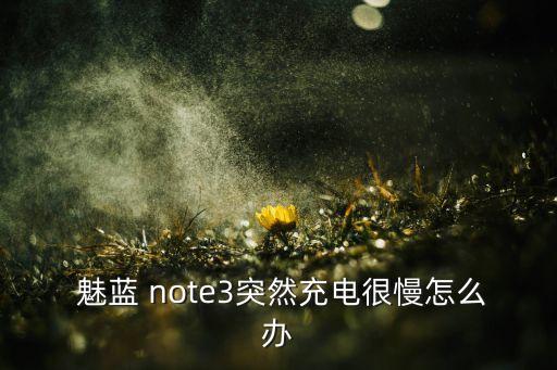  魅藍 note3突然充電很慢怎么辦