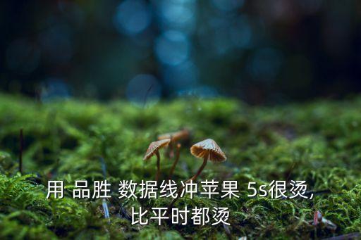 品勝5s數(shù)據(jù)線怎么樣,品勝的蘋果充電器和數(shù)據(jù)線怎么樣