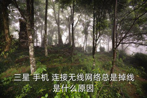  三星 手機(jī) 連接無(wú)線(xiàn)網(wǎng)絡(luò)總是掉線(xiàn)是什么原因