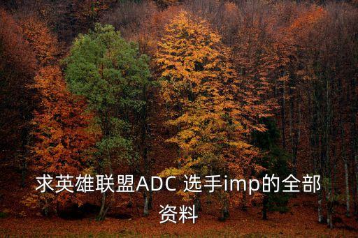 求英雄聯(lián)盟ADC 選手imp的全部資料