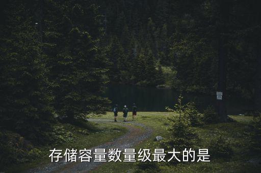 存儲(chǔ)容量數(shù)量級(jí)最大的是