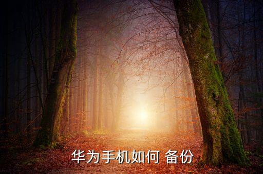  華為手機(jī)如何 備份