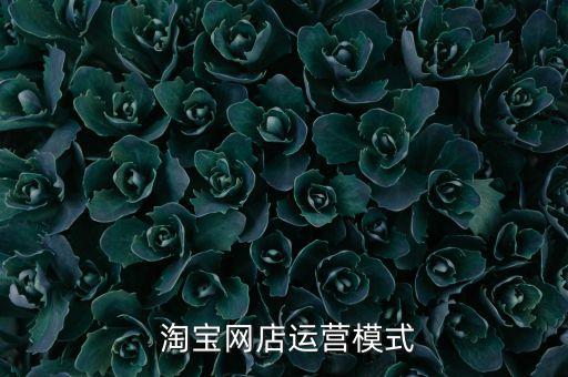  淘寶網(wǎng)店運(yùn)營模式