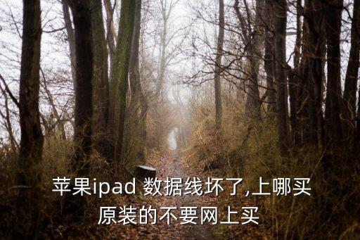  蘋果ipad 數(shù)據線壞了,上哪買原裝的不要網上買