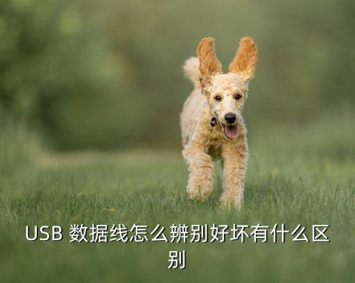 數(shù)據(jù)線有什么不一樣嗎,4A數(shù)據(jù)線與5A有什么不一樣