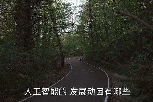 人工智能的 發(fā)展動(dòng)因有哪些