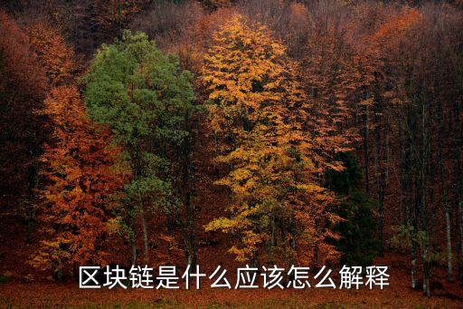  區(qū)塊鏈?zhǔn)鞘裁磻?yīng)該怎么解釋