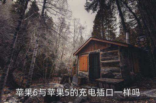 蘋果6與蘋果5的充電插口一樣嗎