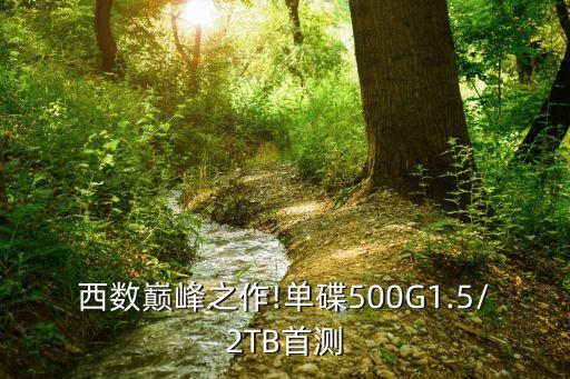 西數(shù)巔峰之作!單碟500G1.5/2TB首測