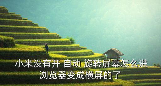  小米沒有開 自動(dòng) 旋轉(zhuǎn)屏幕怎么進(jìn)瀏覽器變成橫屏的了