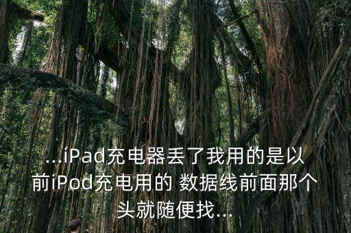 ...iPad充電器丟了我用的是以前iPod充電用的 數(shù)據(jù)線前面那個頭就隨便找...