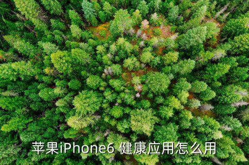 蘋果iPhone6 健康應(yīng)用怎么用