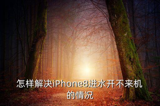 怎樣解決iPhone8進(jìn)水開不來機(jī)的情況