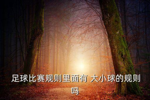  足球比賽規(guī)則里面有 大小球的規(guī)則嗎