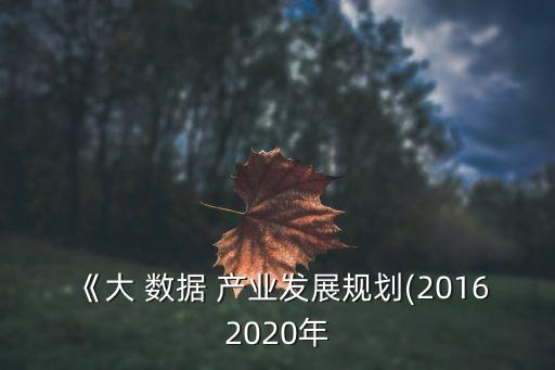 《大 數(shù)據(jù) 產(chǎn)業(yè)發(fā)展規(guī)劃(20162020年