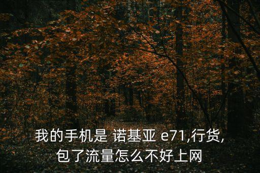 我的手機(jī)是 諾基亞 e71,行貨,包了流量怎么不好上網(wǎng)