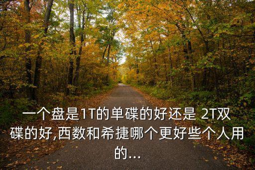 西部數(shù)據(jù)2T金盤(pán)評(píng)測(cè)