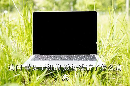 蘋果數(shù)據(jù)線氧化怎么辦