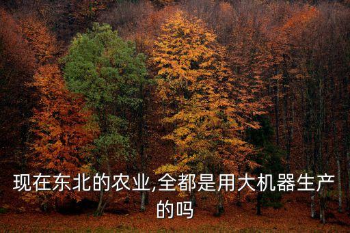 現(xiàn)在東北的農(nóng)業(yè),全都是用大機器生產(chǎn)的嗎