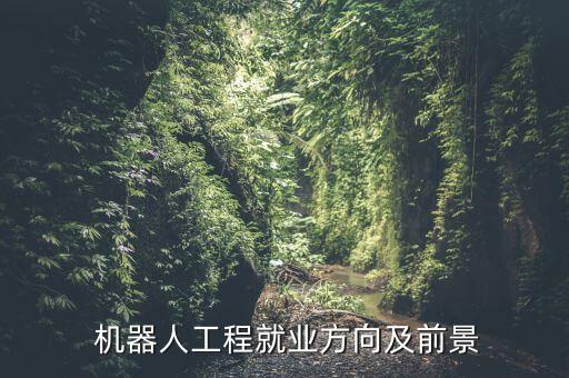 做機(jī)器人項(xiàng)目,機(jī)器人項(xiàng)目的商業(yè)模式